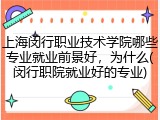 上海闵行职业技术学院哪些专业就业前景好，为什么(闵行职院就业好的专业)