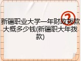 新疆职业大学一年财政拨款大概多少钱(新疆职大年拨款)