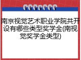 南京视觉艺术职业学院共开设有哪些类型奖学金(南视觉奖学金类型)