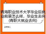 青海职业技术大学毕业后就业前景怎么样，毕业生去向(青职大就业去向)