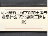 河北建筑工程学院的王牌专业是什么(河北建院王牌专业)