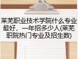 莱芜职业技术学院什么专业最好，一年招多少人(莱芜职院热门专业及招生数)