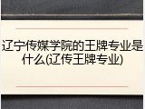 辽宁传媒学院的王牌专业是什么(辽传王牌专业)