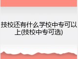 技校还有什么学校中专可以上(技校中专可选)