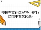 技校有文化课程吗中专生(技校中专文化课)