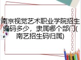 南京视觉艺术职业学院招生编码多少，隶属哪个部门(南艺招生码归属)