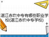 湛江赤坎中专有哪些职业学校(湛江赤坎中专学校)