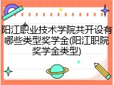 阳江职业技术学院共开设有哪些类型奖学金(阳江职院奖学金类型)