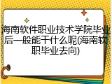 海南软件职业技术学院毕业后一般能干什么呢(海南软职毕业去向)