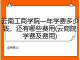 云南工商学院一年学费多少钱，还有哪些费用(云商院学费及费用)