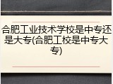 合肥工业技术学校是中专还是大专(合肥工校是中专大专)