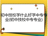 初中技校学什么好学中专专业(初中技校中专专业)
