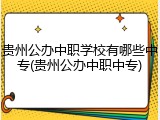 贵州公办中职学校有哪些中专(贵州公办中职中专)