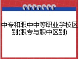 中专和职中中等职业学校区别(职专与职中区别)
