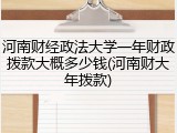 河南财经政法大学一年财政拨款大概多少钱(河南财大年拨款)