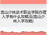 嵩山少林武术职业学院办理入学有什么攻略没(嵩山少林入学攻略)