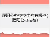 濮阳公办技校中专有哪些(濮阳公办技校)