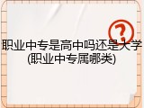 职业中专是高中吗还是大学(职业中专属哪类)