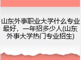 山东外事职业大学什么专业最好，一年招多少人(山东外事大学热门专业招生)