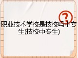 职业技术学校是技校吗中专生(技校中专生)