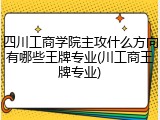 四川工商学院主攻什么方向有哪些王牌专业(川工商王牌专业)