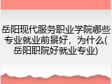 岳阳现代服务职业学院哪些专业就业前景好，为什么(岳阳职院好就业专业)