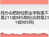 民办合肥财经职业学院是不是211或985高校(合财是211或985吗)
