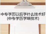 中专学历以后学什么技术好(中专学历学啥技术)