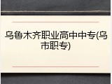 乌鲁木齐职业高中中专(乌市职专)