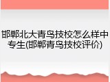 邯郸北大青鸟技校怎么样中专生(邯郸青鸟技校评价)
