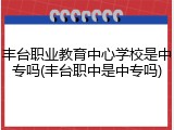 丰台职业教育中心学校是中专吗(丰台职中是中专吗)
