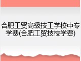 合肥工贸高级技工学校中专学费(合肥工贸技校学费)