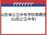 山东省公立中专学校有哪些(山东公立中专)