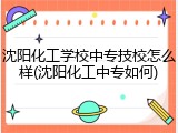 沈阳化工学校中专技校怎么样(沈阳化工中专如何)