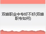 双峰职业中专好不好(双峰职专如何)