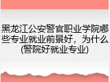 黑龙江公安警官职业学院哪些专业就业前景好，为什么(警院好就业专业)