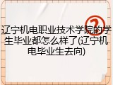 辽宁机电职业技术学院的学生毕业都怎么样了(辽宁机电毕业生去向)
