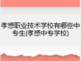 孝感职业技术学校有哪些中专生(孝感中专学校)