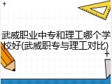 武威职业中专和理工哪个学校好(武威职专与理工对比)