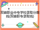 双峰职业中专学校录取分数线(双峰职专录取线)