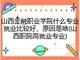 山西金融职业学院什么专业就业比较好，原因是啥(山西职院高就业专业)