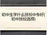初中生学什么技校中专好(初中技校选择)