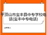 平顶山市宝丰县中专学校电话(宝丰中专电话)