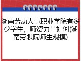 湖南劳动人事职业学院有多少学生，师资力量如何(湖南劳职院师生规模)