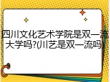 四川文化艺术学院是双一流大学吗?(川艺是双一流吗)