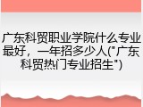 广东科贸职业学院什么专业最好，一年招多少人("广东科贸热门专业招生")