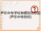 声乐中专学校有哪些技校呢(声乐中专技校)