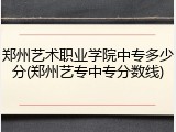 郑州艺术职业学院中专多少分(郑州艺专中专分数线)