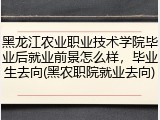 黑龙江农业职业技术学院毕业后就业前景怎么样，毕业生去向(黑农职院就业去向)
