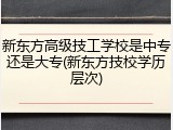 新东方高级技工学校是中专还是大专(新东方技校学历层次)